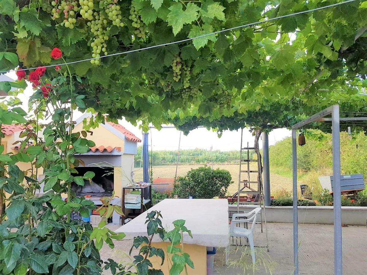 Villetta Su Barrali Orosei Esterno foto